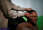 تصاویر) + نیش زنبور خوش اخلاقتان میکند! (